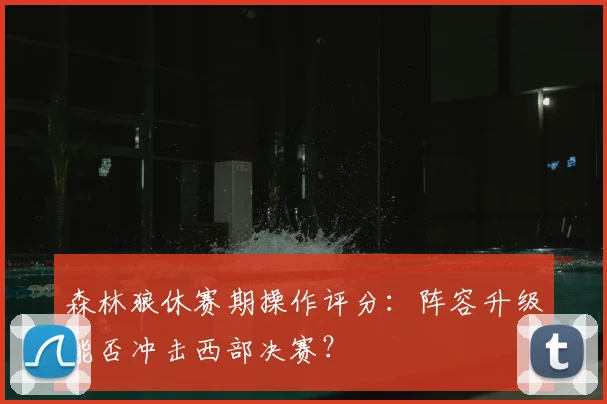 森林狼休赛期操作评分：阵容升级能否冲击西部决赛？