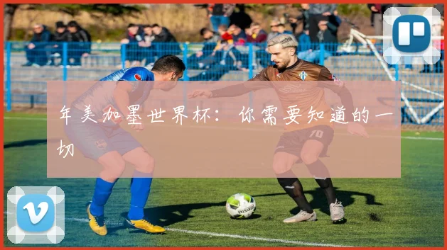 年美加墨世界杯：你需要知道的一切
