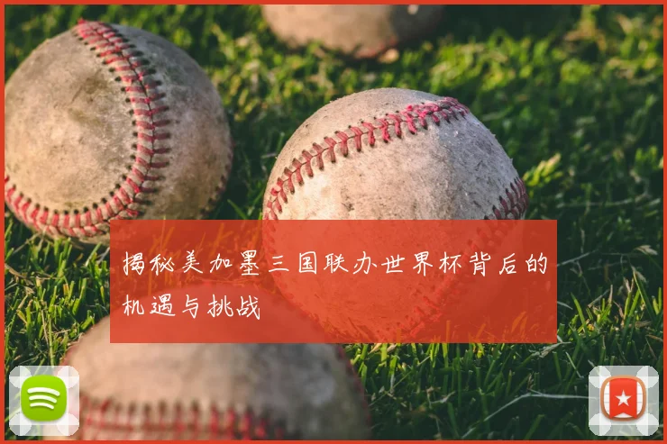 揭秘美加墨三国联办世界杯背后的机遇与挑战
